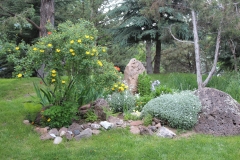 Rose Garden amongst the Fir Trees